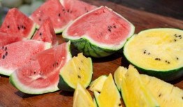 想吃瓜却吃不得,想吃瓜却吃不得的无奈人生