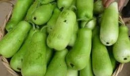 吃葫芦瓜一天吃几个,一天几个最适宜？
