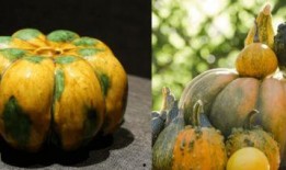 穿越到吃瓜系统,揭秘娱乐圈背后的秘密与笑料