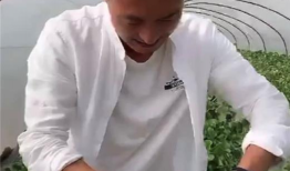 吃瓜电商团长,揭秘吃瓜电商团长的崛起之路