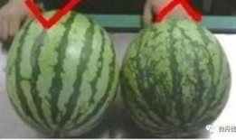 烟台本地吃瓜,本地特色瓜果盛宴