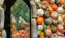 天台亭子吃瓜,夏日吃瓜，悠然自得的生活画卷