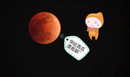 月亮上吃瓜,揭秘月球上的“吃瓜”传奇