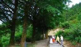 天台亭子吃瓜,夏日吃瓜，悠然自得的生活画卷