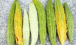 病人吃红瓜好吗,病人饮食中的健康之选