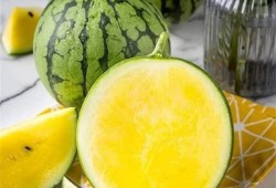 西瓜不吃瓜吃菠萝,夏日狂欢吃菠萝