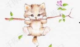 小猫吃瓜贴纸素材