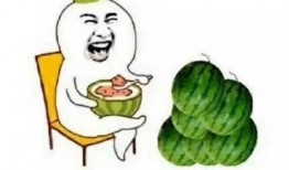 吃瓜定神打一数字,揭秘数字背后的奥秘