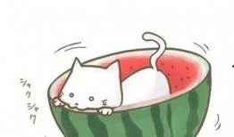 吃瓜小阿姨头像动漫,吃瓜小阿姨的动漫风采