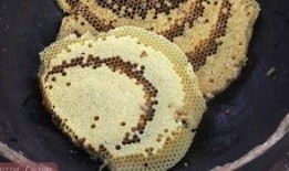 梦见吃瓜里面有虫子,吃瓜遇虫，揭秘潜意识中的恐惧与期待