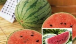 谁会喜欢吃沙瓜,揭秘沙瓜的独特魅力