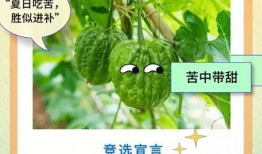 吃瓜届顶流,揭秘吃瓜群众的狂欢盛宴