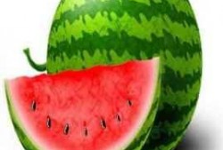 吃粟子瓜会胖吗,吃它真的会发胖吗？