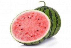 吃麒麟瓜声控,麒麟瓜的神秘呼唤