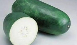 泽瓜怎么吃,解锁美味新体验