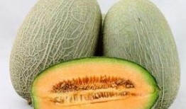 吃哈密瓜丰胸吗,哈密瓜真的能丰胸吗？营养专家为你解答