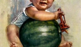 当代男团吃瓜,从吃瓜到深度解析，探寻偶像背后的故事