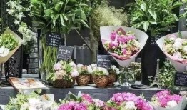 吃瓜事件峰峰花店,吃瓜事件背后的花店传奇