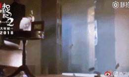 赌场吃瓜,揭秘吃瓜群众的围观之道