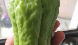 吃瓜炸裂标题怎么写