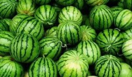 vx群免费吃瓜群