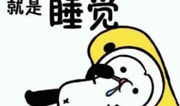 和朋友互相吃瓜,与好友共享八卦时光