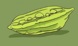 夏天吃瓜脾胃不好,谨防脾胃受损——吃瓜养生攻略