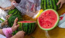 大雪吃瓜的视频,吃瓜群众欢乐多