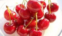 吃樱桃能吃瓜吗,探索樱桃食用禁忌与搭配之道