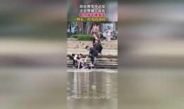 路边抢救吃瓜群众视频,紧急救援！路边视频记录抢救吃瓜群众惊险瞬间