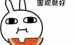 瓜哥带你吃瓜合集p图,一场视觉盛宴的图文回顾