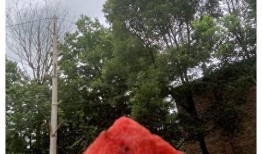 蛋哥吃瓜爆料,娱乐圈最新吃瓜爆料大汇总