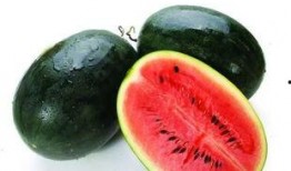 吃邯郸永年的瓜