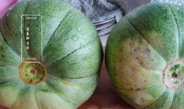 太阳瓜甜不甜怎么吃,甜蜜滋味的多重食用攻略