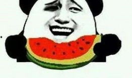 韩语有瓜吃吗,揭秘“有瓜吃吗”背后的文化内涵