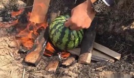 蛋哥吃瓜爆料,娱乐圈最新吃瓜爆料大汇总