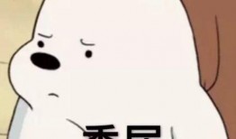 跪地观摩吃瓜表情,吃瓜表情背后的社会现象解析