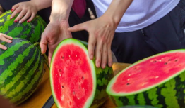 各个学校吃瓜视频,揭秘各大院校吃瓜视频背后的故事