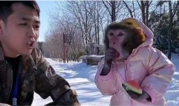 大雪吃瓜的视频,吃瓜群众欢乐多