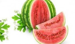 吃瓜何笑笑,揭秘娱乐圈背后的那些事儿