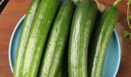 小八吃瓜5,揭秘娱乐圈幕后故事