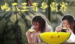 娱乐吃瓜君121期,揭秘娱乐圈最新热点，带你领略明星幕后故事