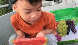 认真吃瓜,揭秘“认真吃瓜”背后的故事