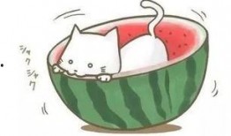 当路上遇到吃瓜,见证一场“吃瓜”盛况