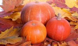 福寿瓜怎么吃效果最好