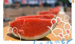 认真吃瓜,揭秘“认真吃瓜”背后的故事