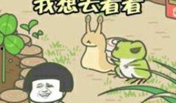 女子旅游全程吃瓜,女子与瓜果的甜蜜邂逅