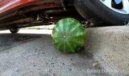 轮胎吃瓜,一场别开生面的夏日盛宴