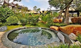 网红笛笛 温泉吃瓜,揭秘网红圈幕后故事