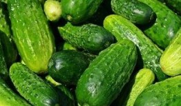 吃瓜频道名字,带你走进娱乐圈的幕后故事